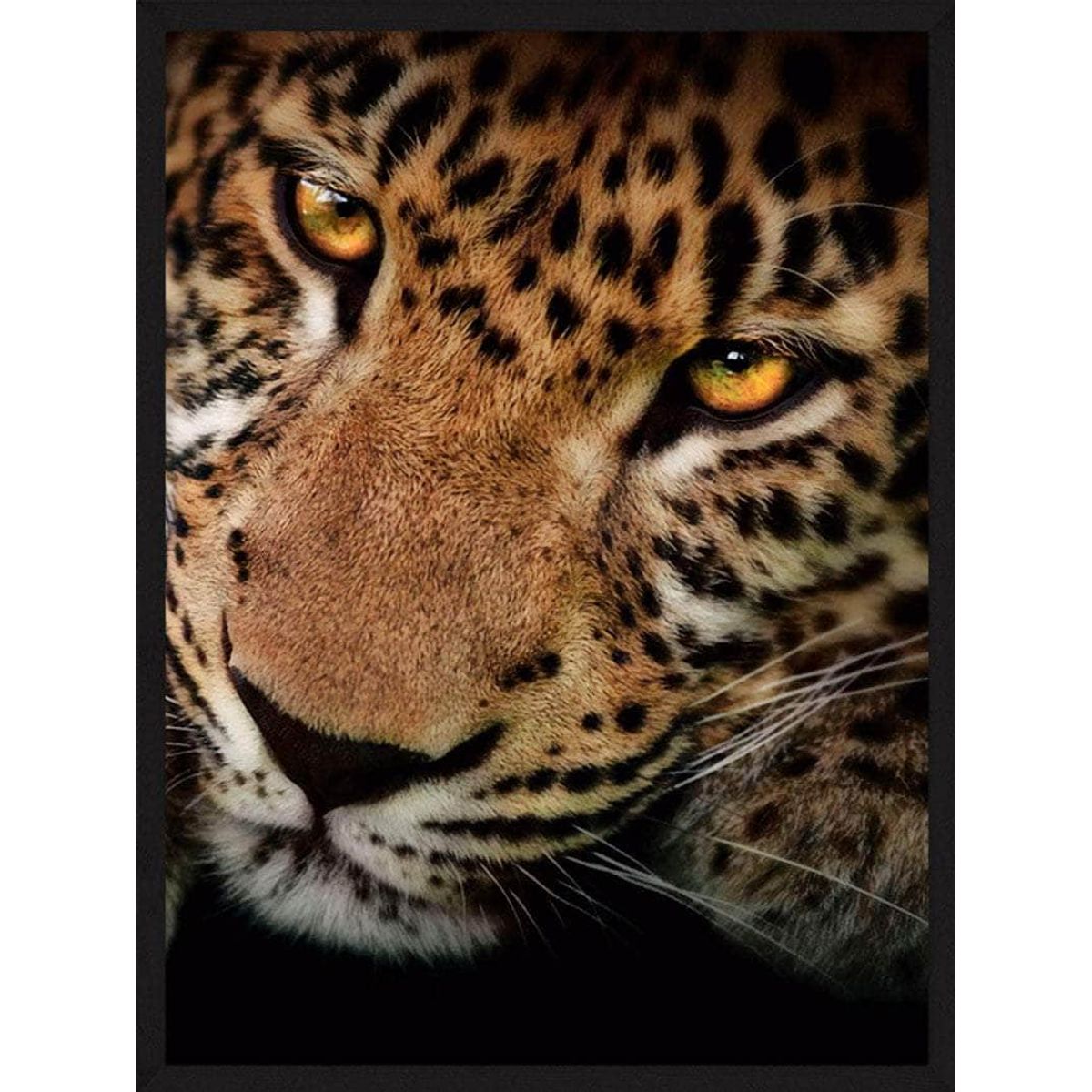 Leopard close-up - Plakat