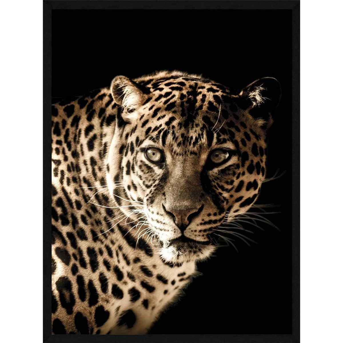 Leopard - Plakat