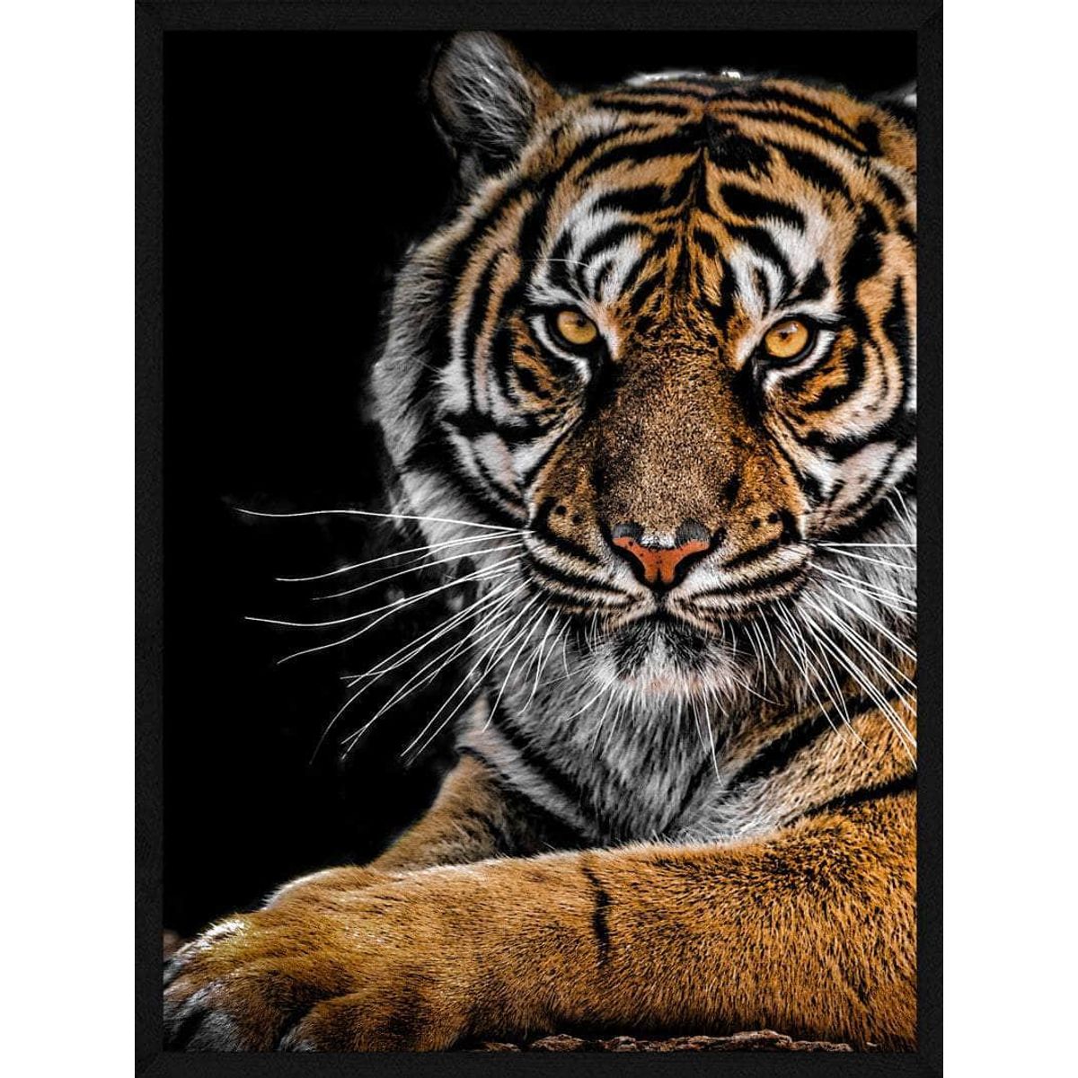 Liggende tiger - Plakat