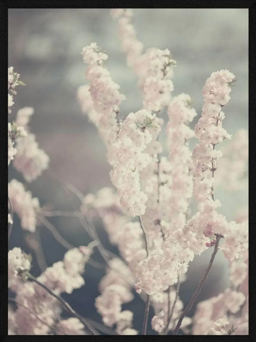 Lyserøde blomster