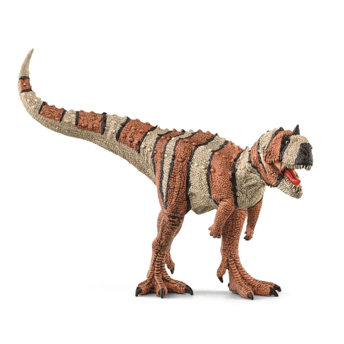 Majungasaurus (One size)