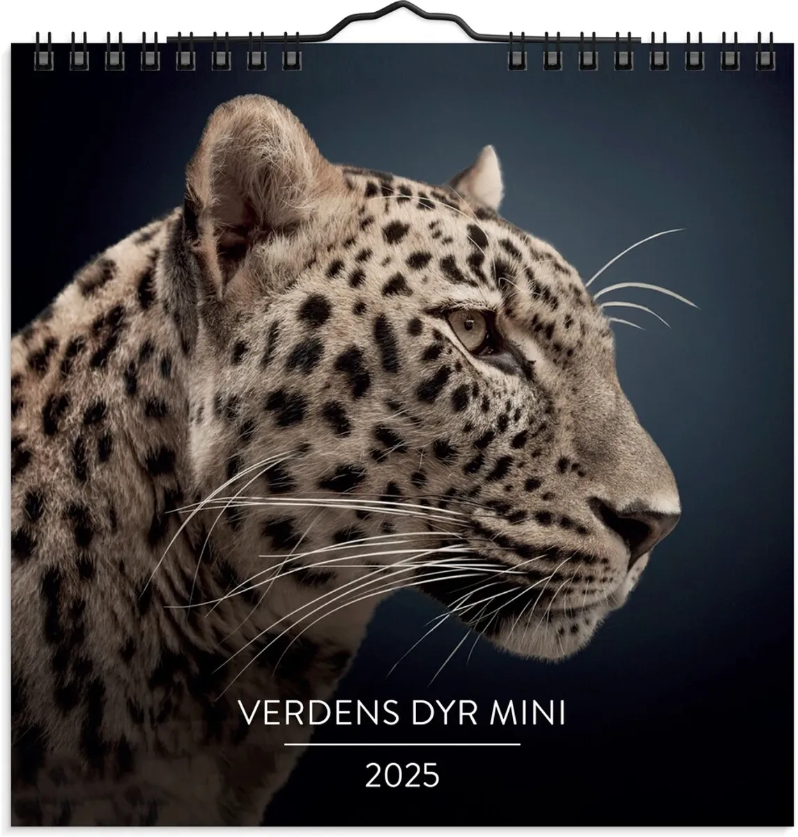 Mayland Vægkalender 2025 verdens dyr 16 x 16 cm