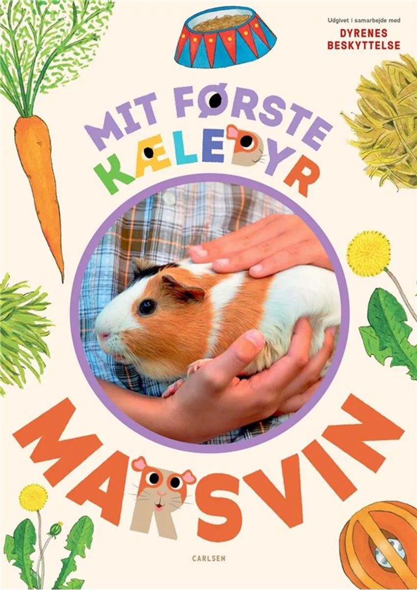 Mit første kæledyr - marsvin