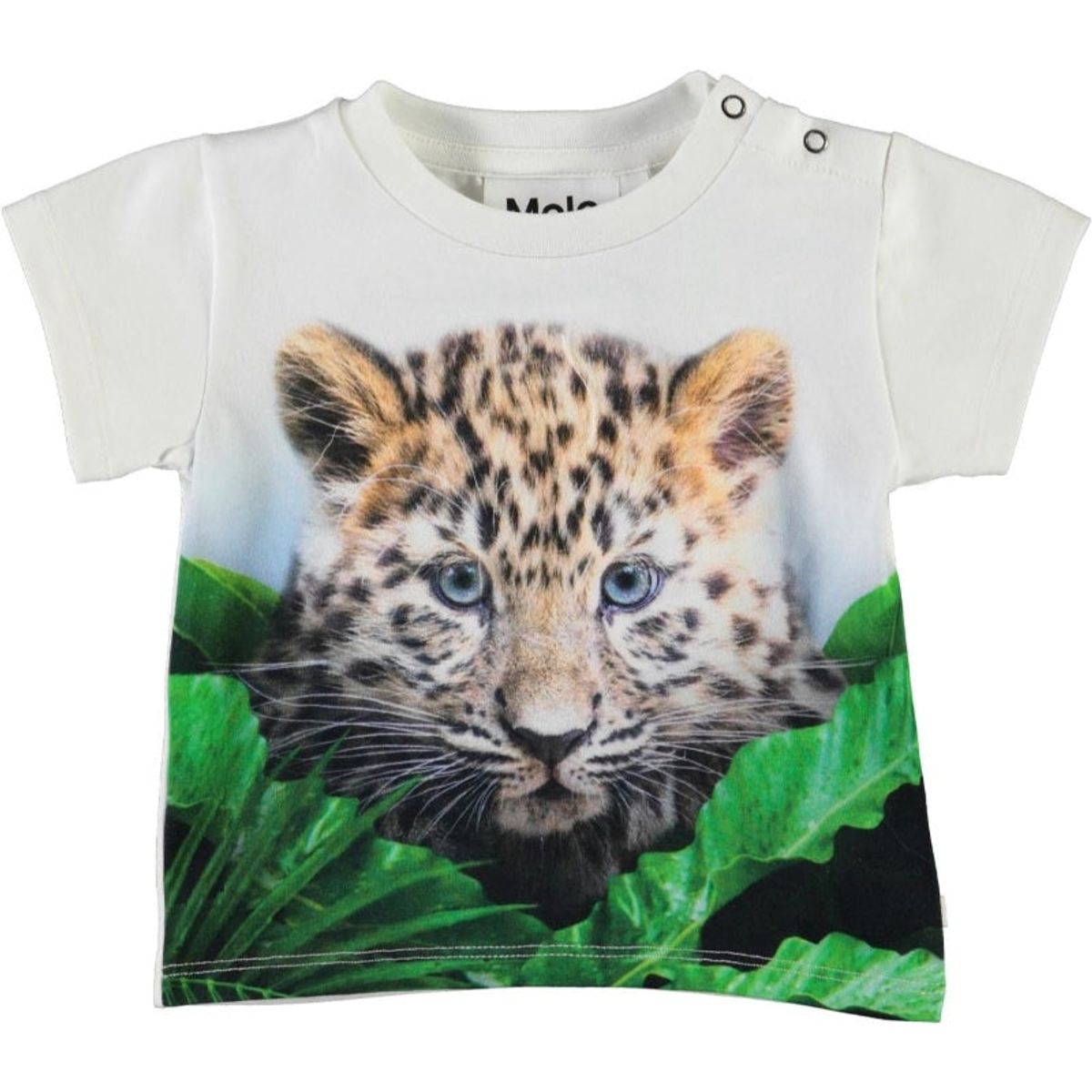 Molo - Emilio T-Shirt - Jungle Cub - 62