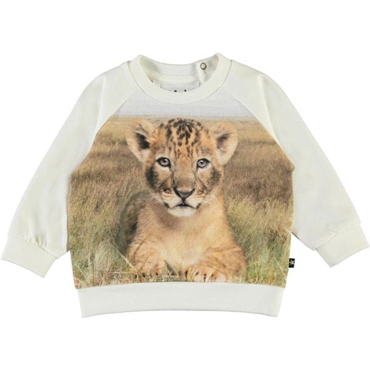 Molo - Esco Bluse - Young Lion - 68