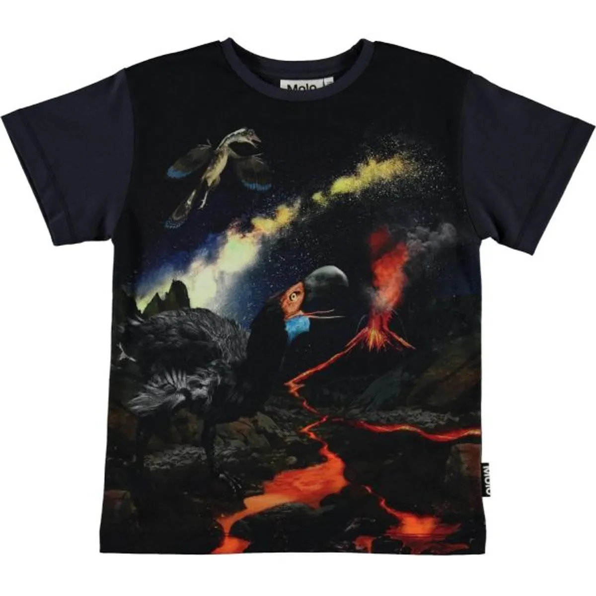 Molo - Rasmus T-Shirt - Wild Past - 104