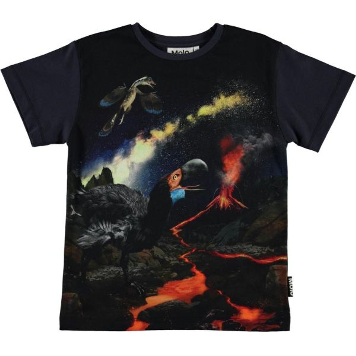 Molo - Rasmus T-Shirt - Wild Past - 122