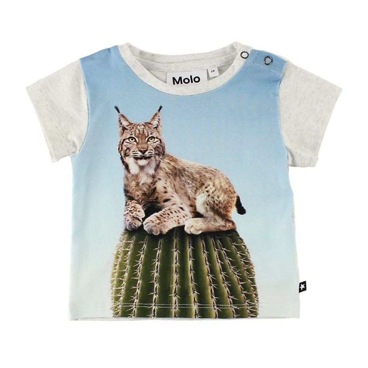 Molo T-Shirt - Eddie - Cactus Cat