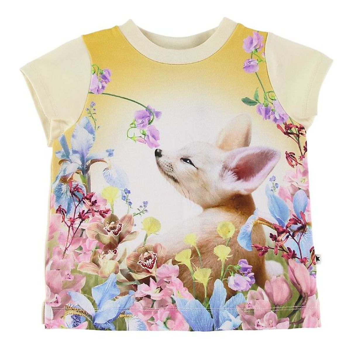 Molo T-shirt - Elly - Fennec Baby