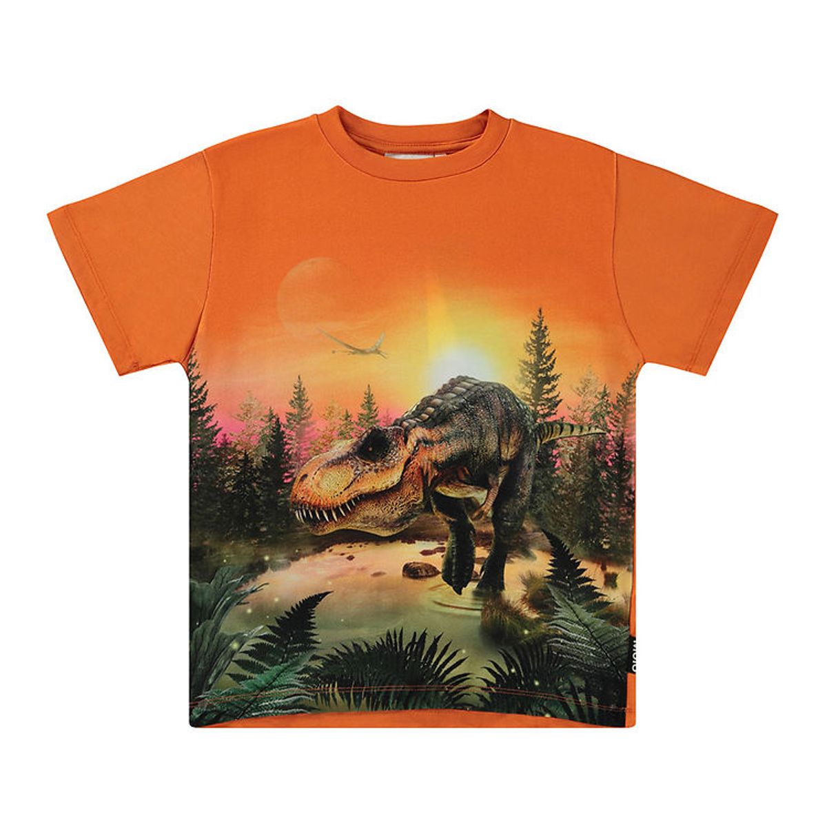 Molo T-shirt - Riley - Dino Lake