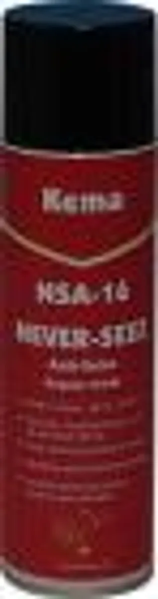 Never-seez Rga1100 500ml Spray