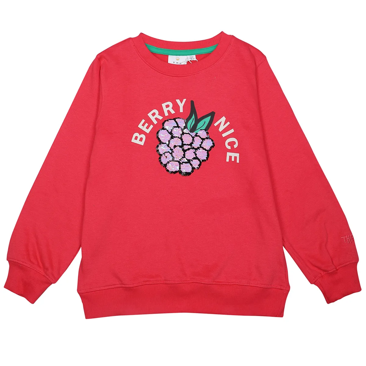 Organic TNJosline sweatshirt (9-10 år)