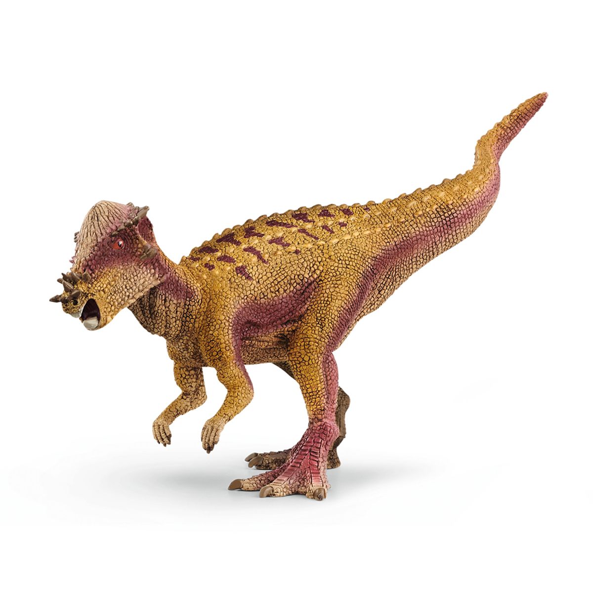 Pachycephalosaurus (One size)