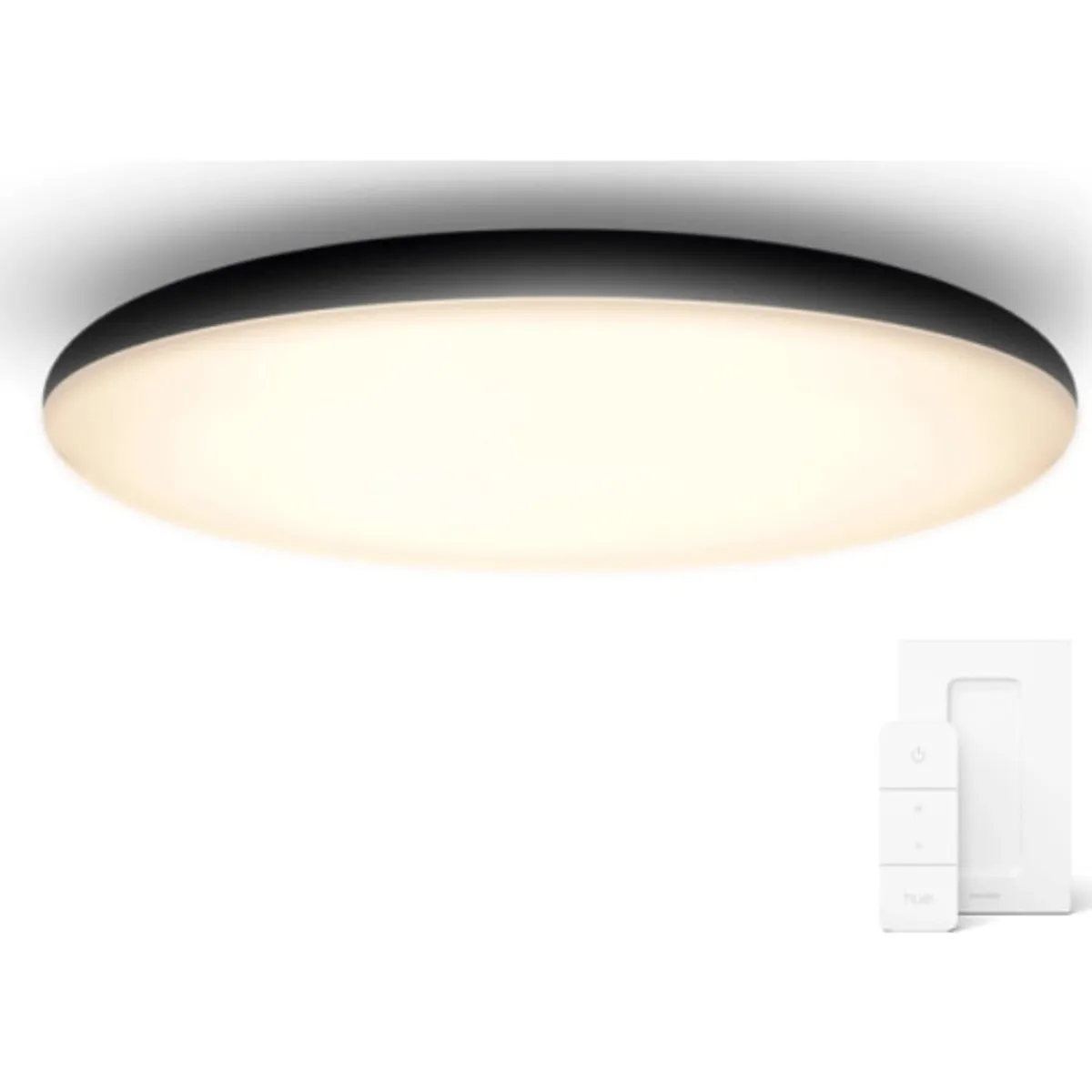 Philips Hue Connected Cher plafond