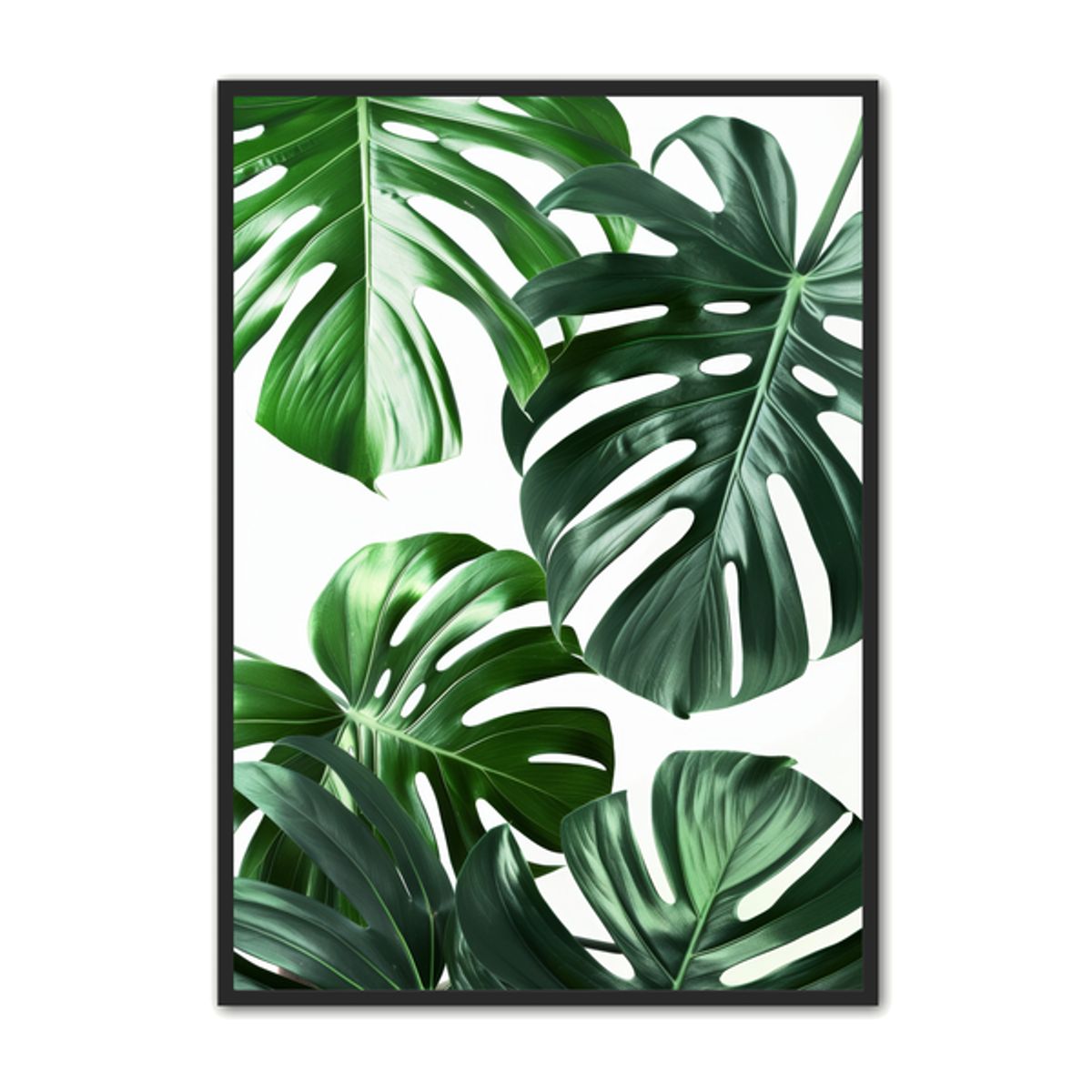 Plante Plakat 20