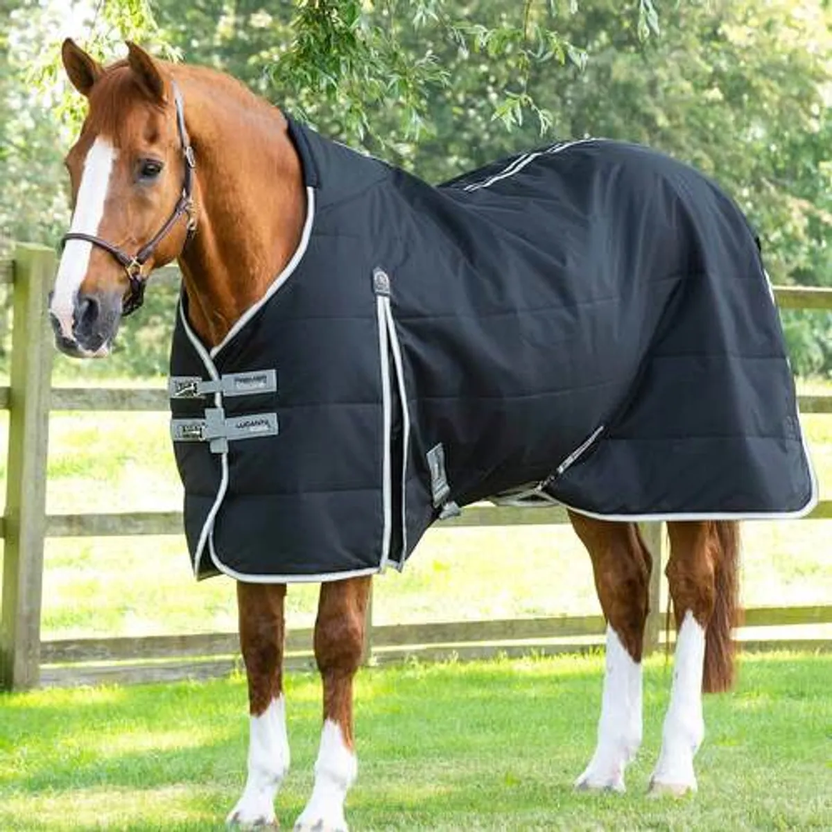 Premier Equine Lucanta Demi stalddækken - 100g - 5,6" - 125cm