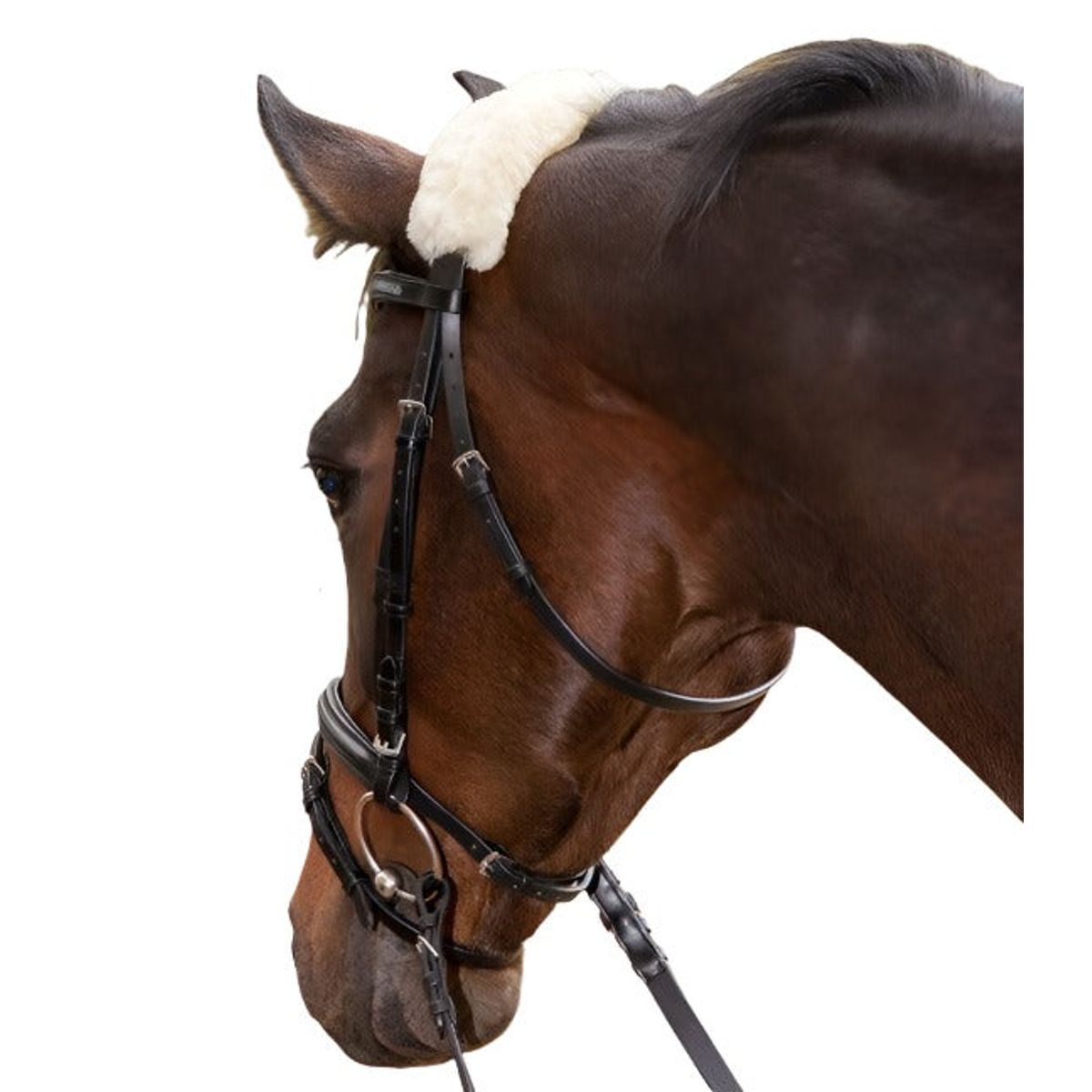 Real Lambskin-Noseband Sleeve, 27 cm, beige