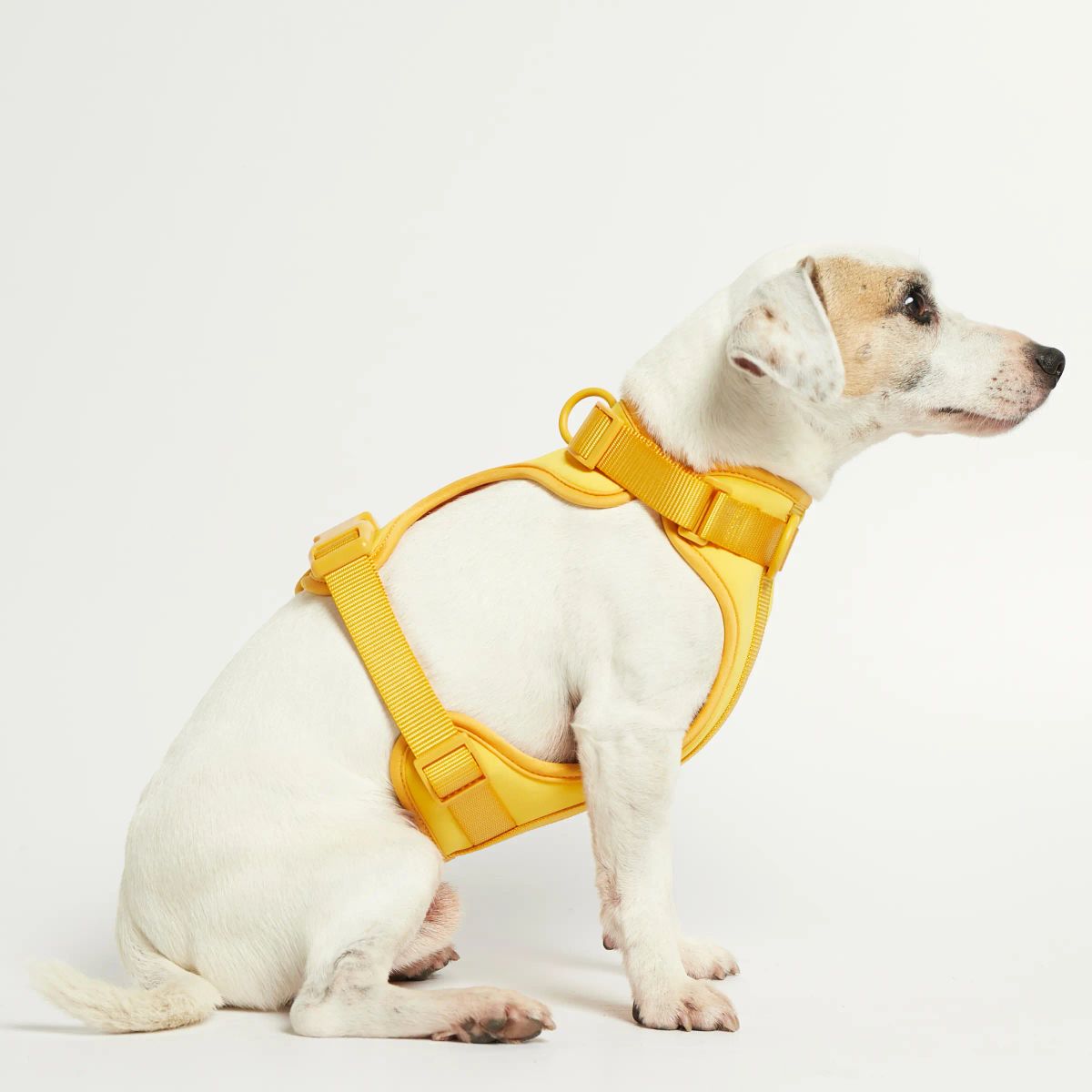 Rose W. Harness // Robust og justerbar hundesele (gul) - L