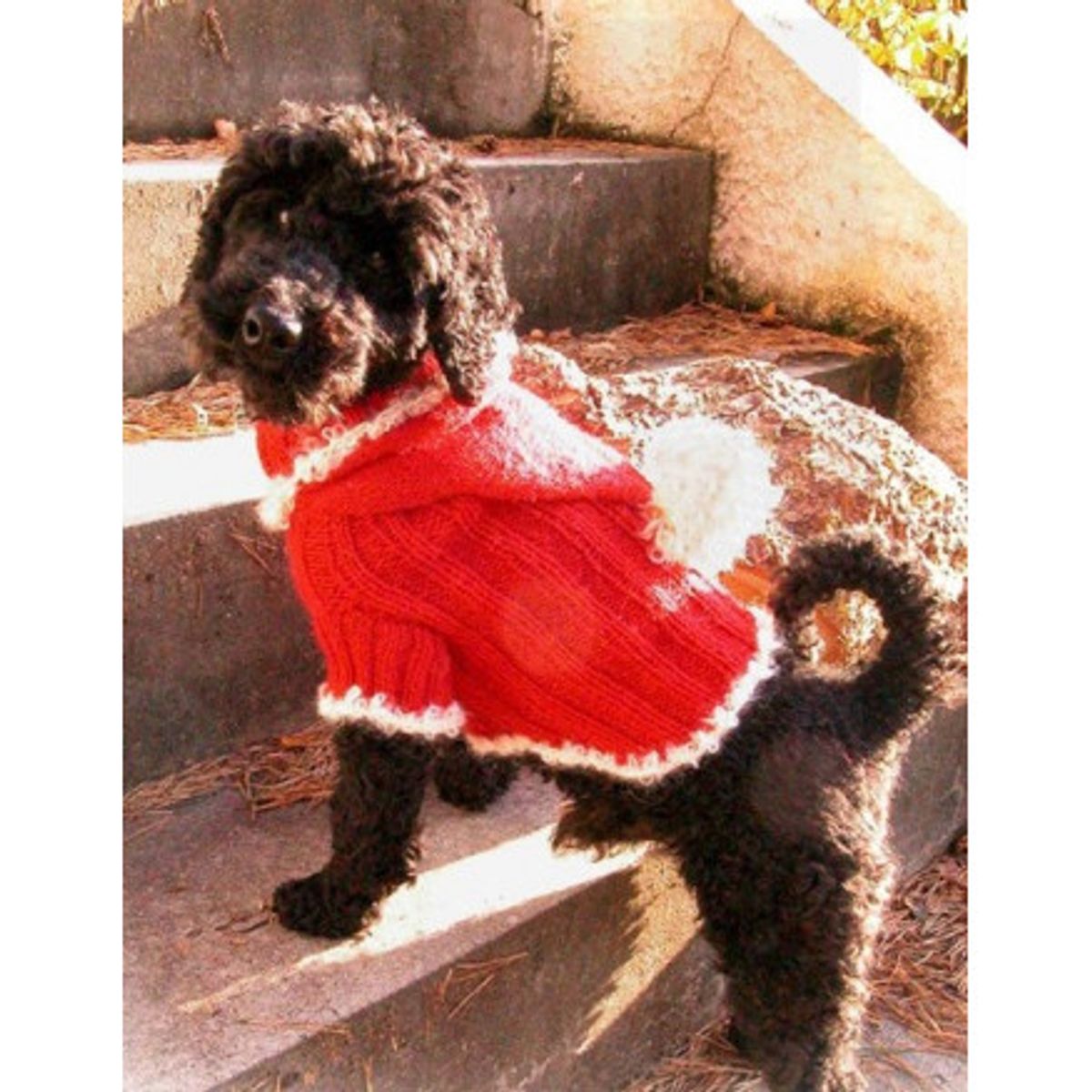 Santa Dog by DROPS Design - Hundebluse Strikkeopskrift str. XS - M - Small