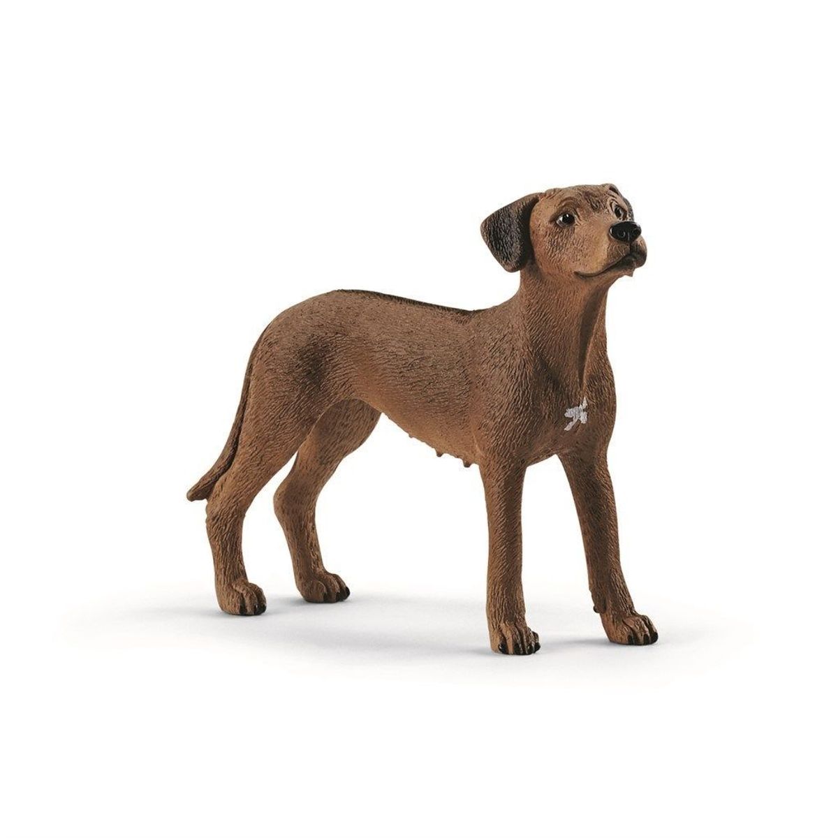 Schleich Rhodesian Ridgeback Hund - Dyr - Legekammeraten.dk