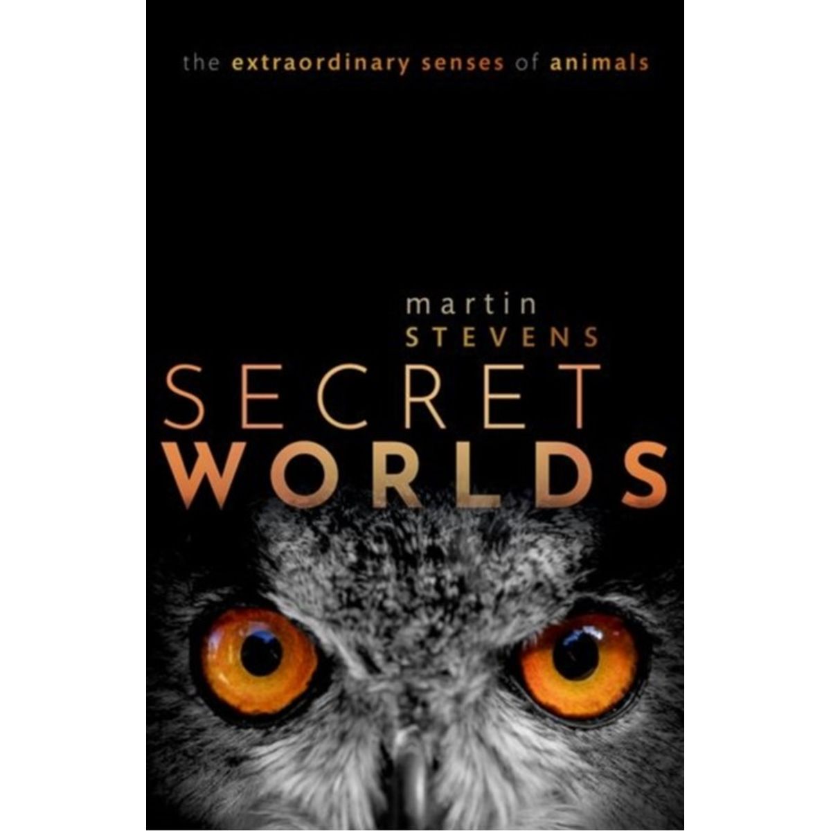 Secret Worlds