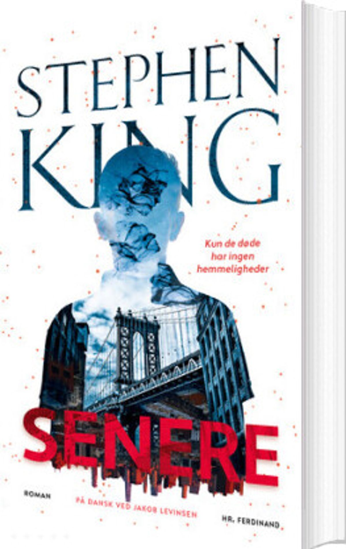 Senere - Stephen King - Bog