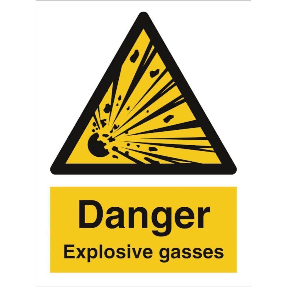 Sign IMO Danger Explosive gasses 107024