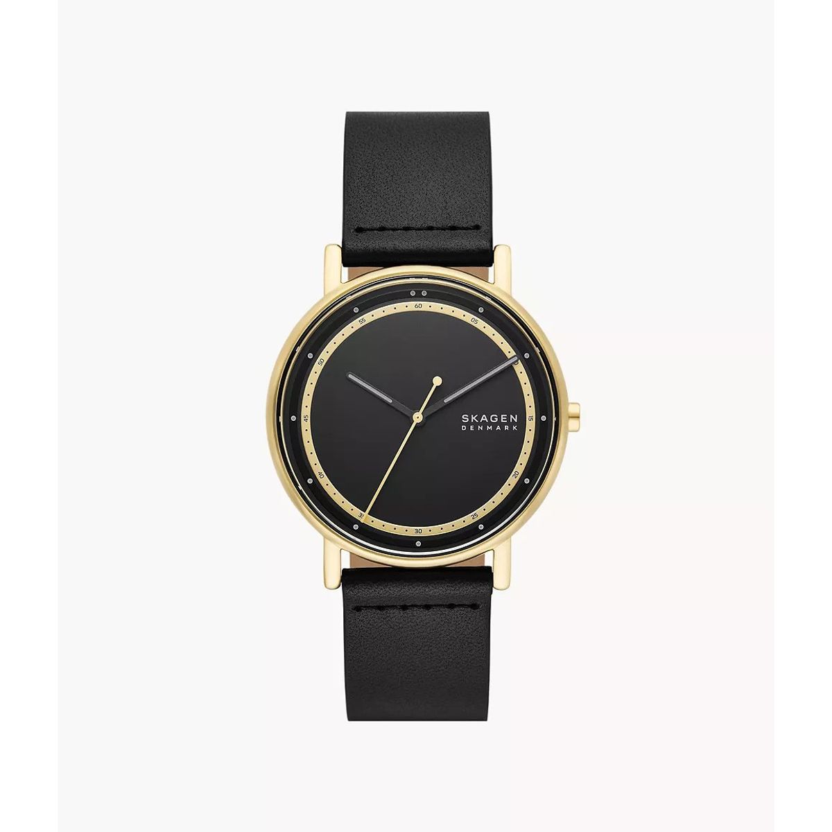 Skagen Signature Ur SKW6897