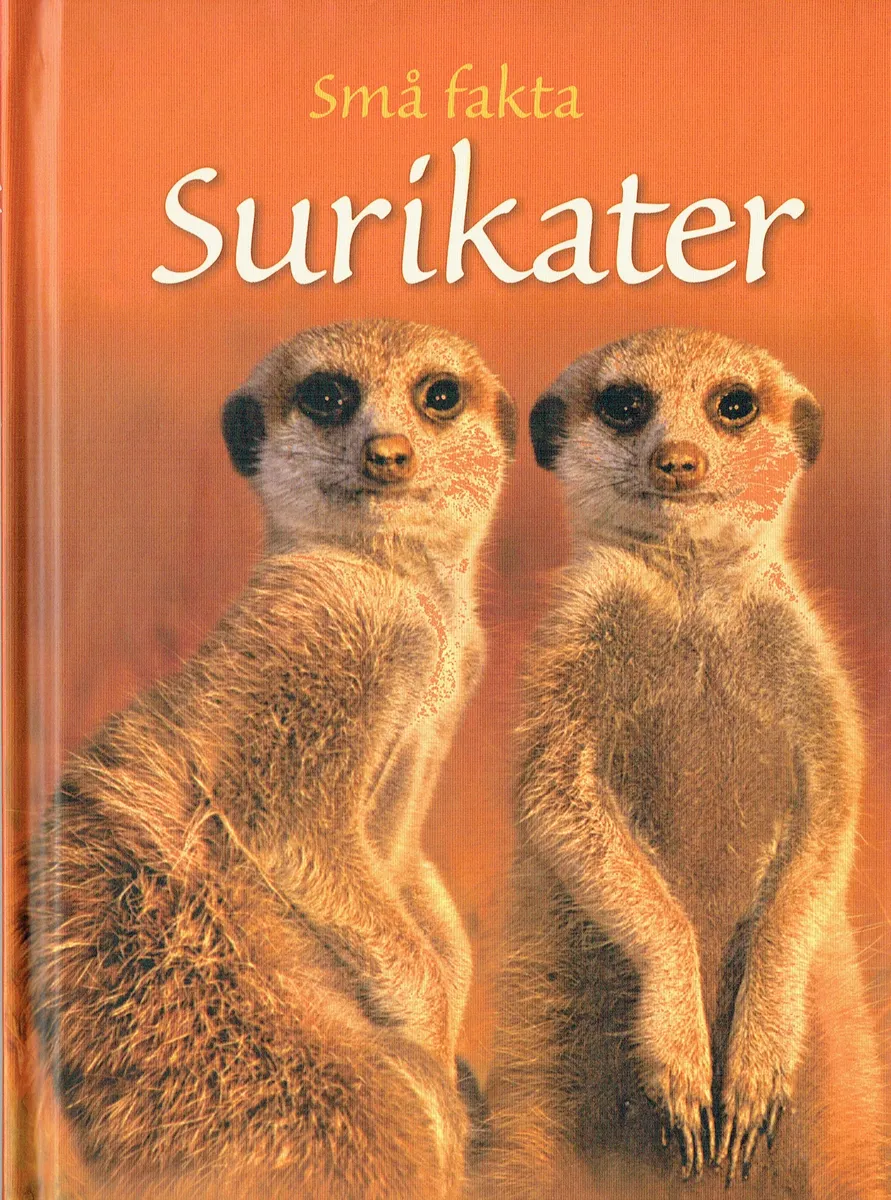 Små fakta: Surikater