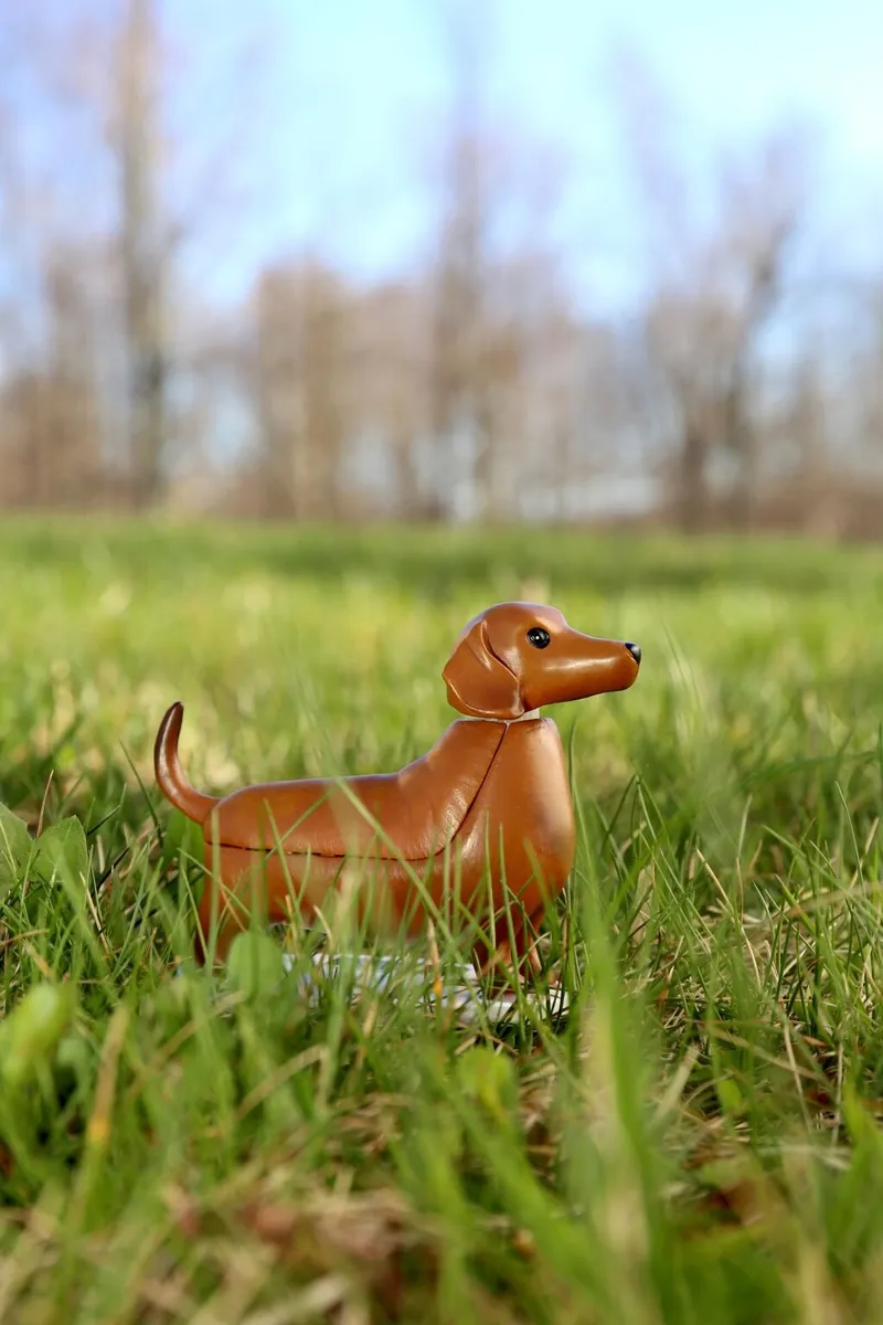 Solcelle Figur - Gravhund - Kikkerland - 12 Cm