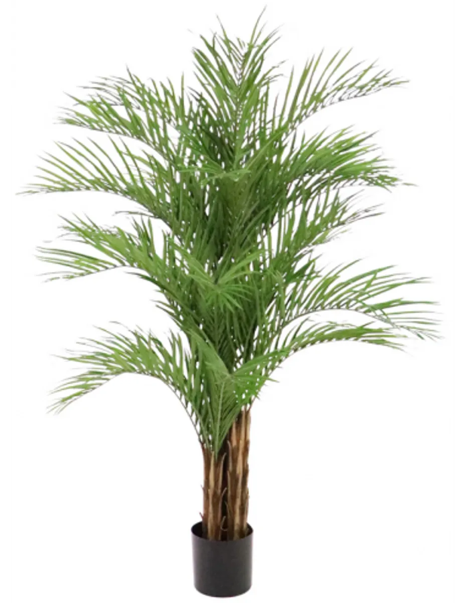 Stor kunstig Areca palme H210 cm - Grøn