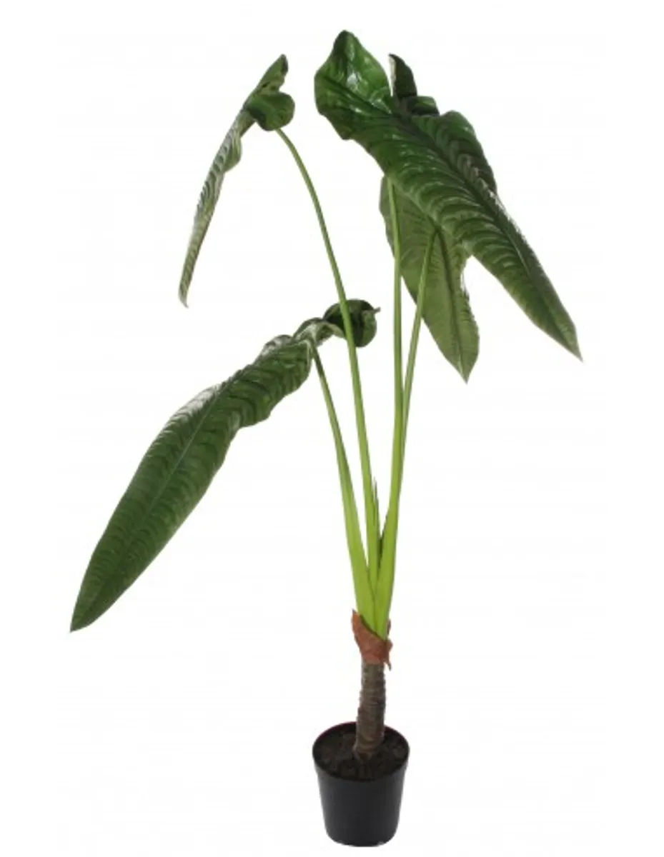 Stor kunstig Elefantøre plante H185 cm