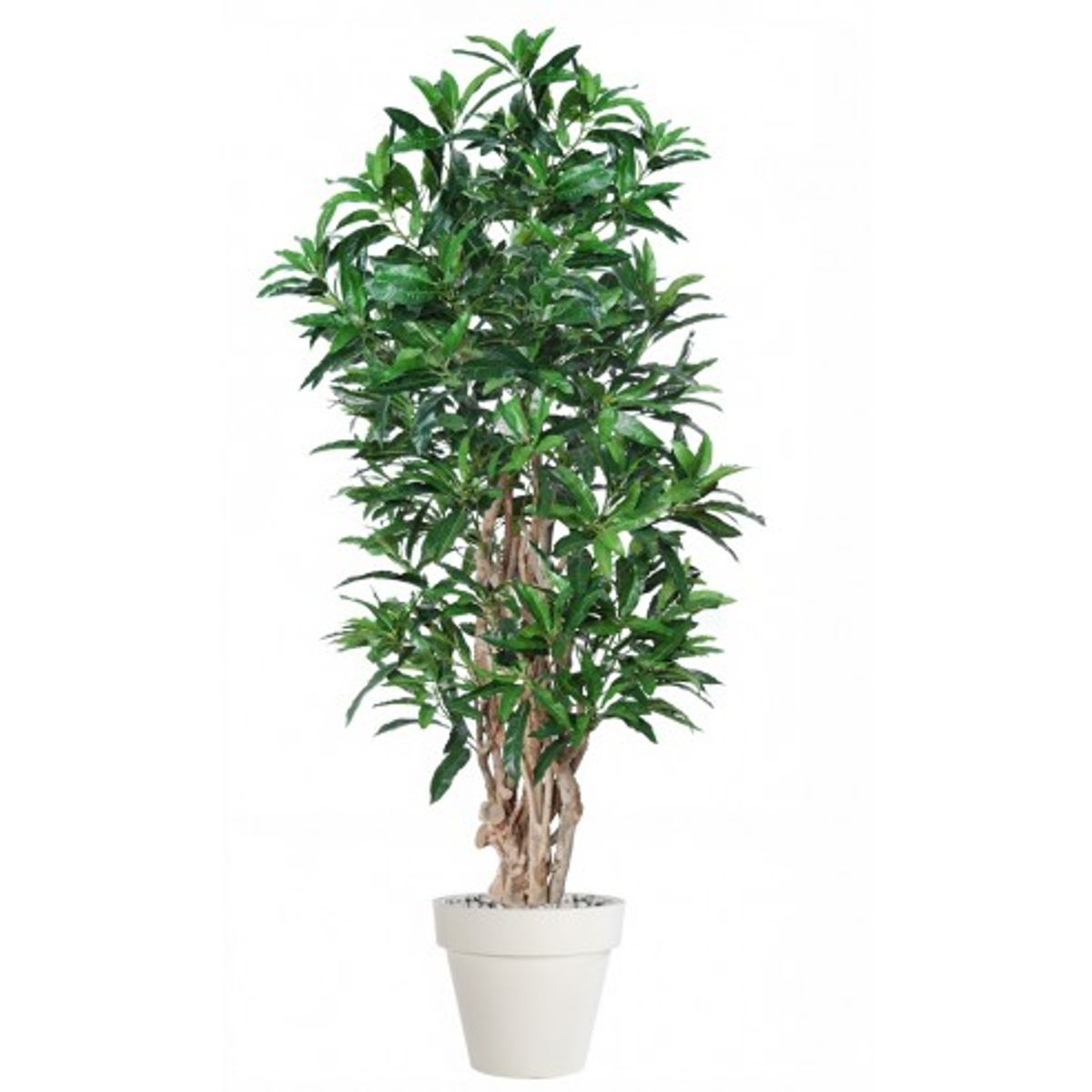 Stor kunstig Mango plante med potte H220 cm