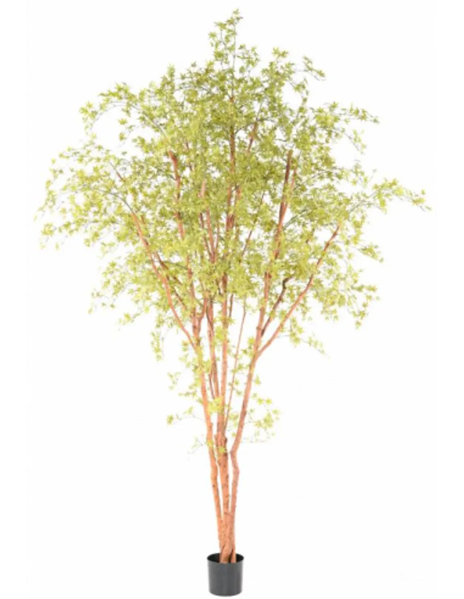 Stort Aralia kunstigt træ H340 cm - Grøn