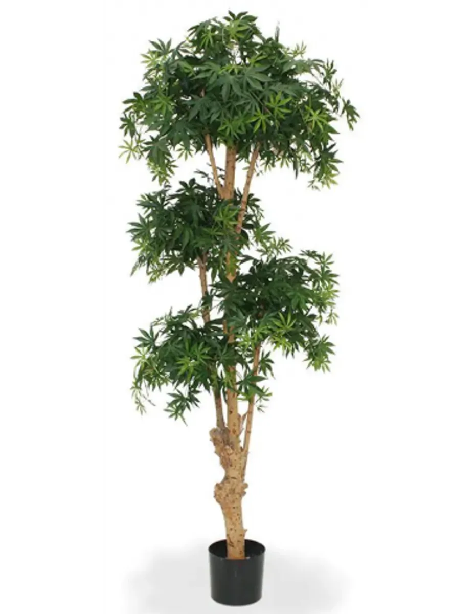 Stort kunstigt Acer Bonsai træ H170 cm - Grøn