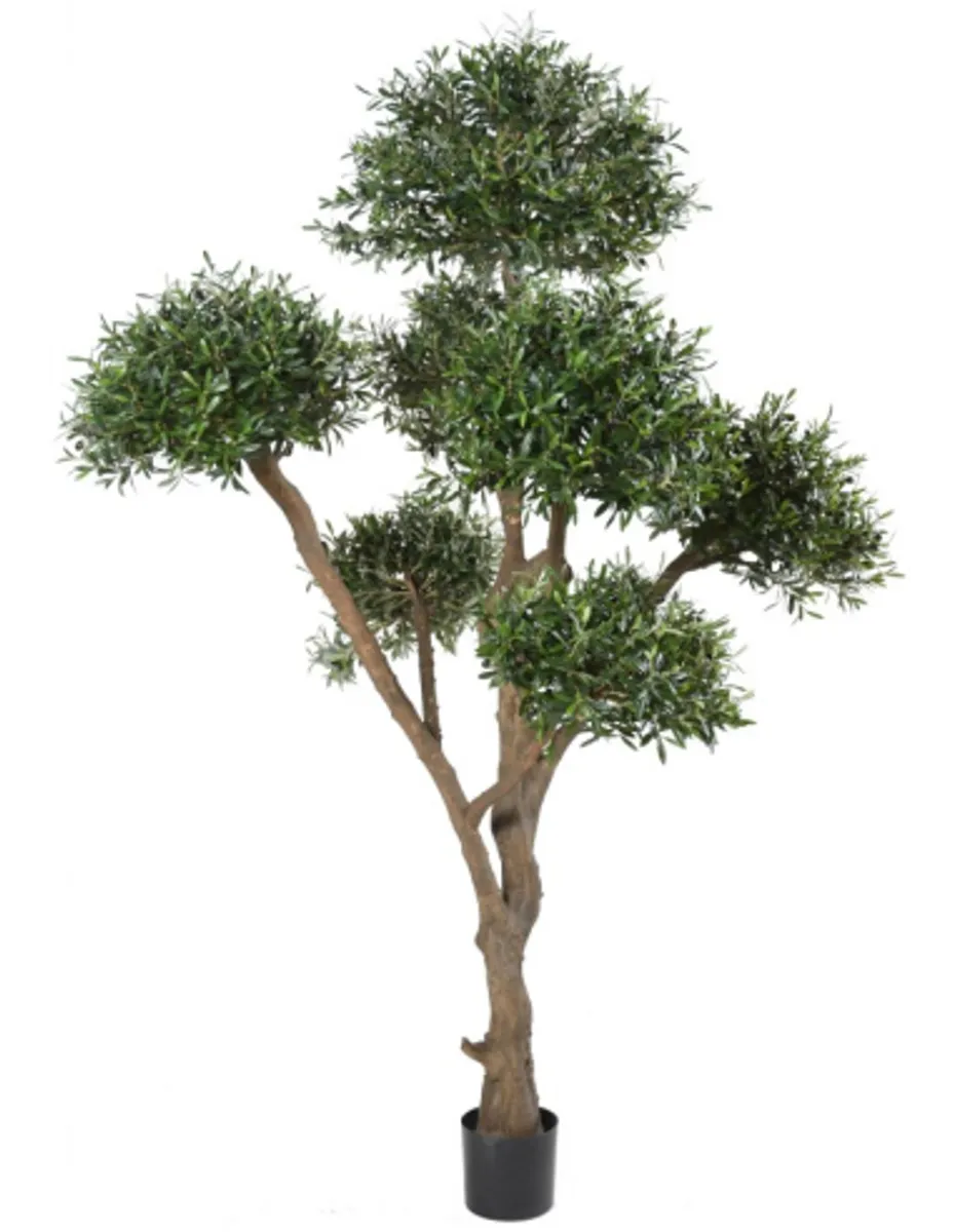 Stort kunstigt bonsai oliventræ H270 cm