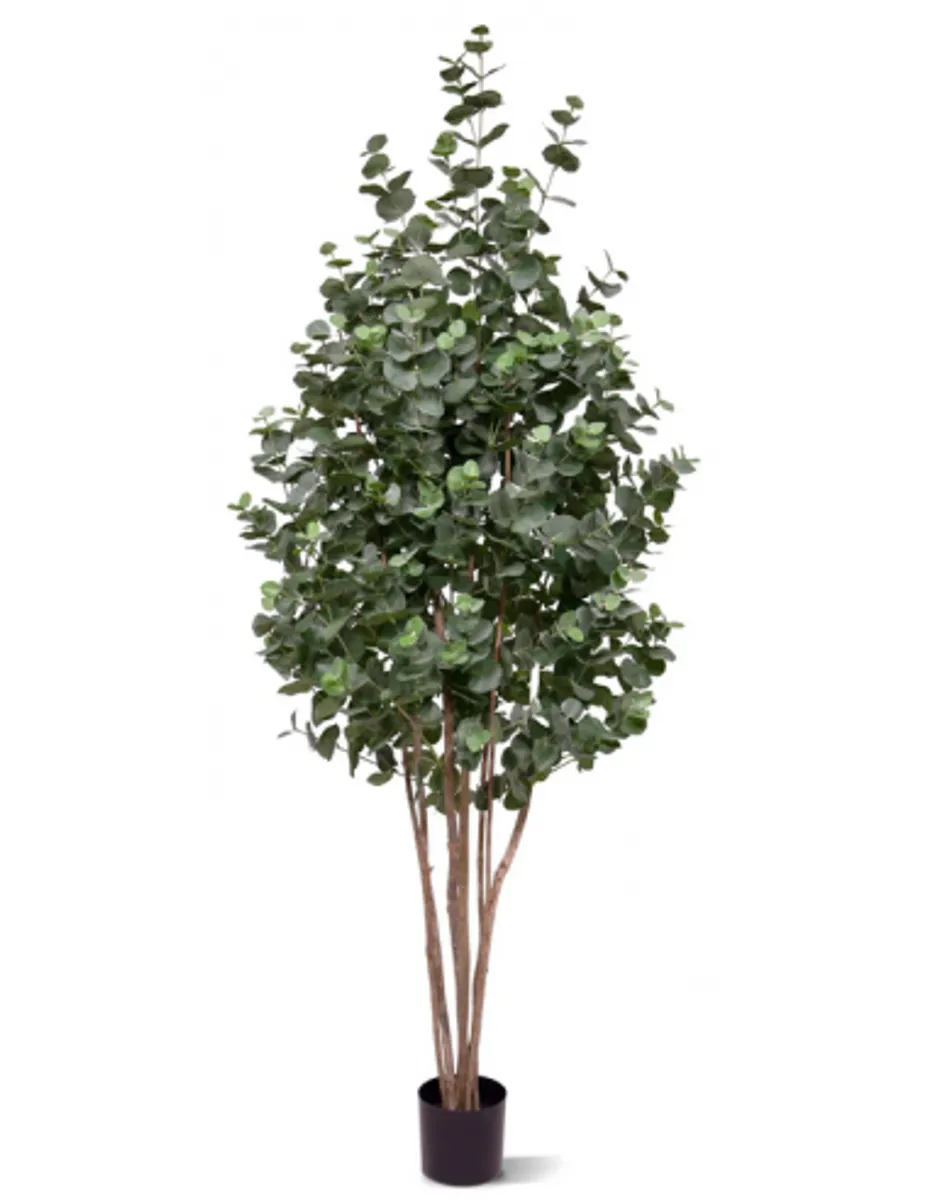 Stort kunstigt Eucalyptus træ H200 cm - Grøn