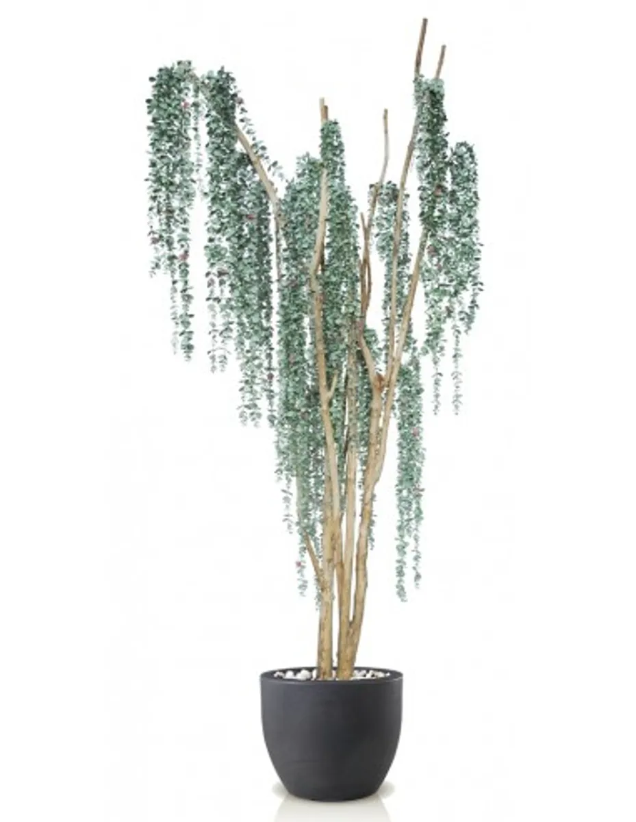 Stort kunstigt Eucalyptus træ med potte H220 cm