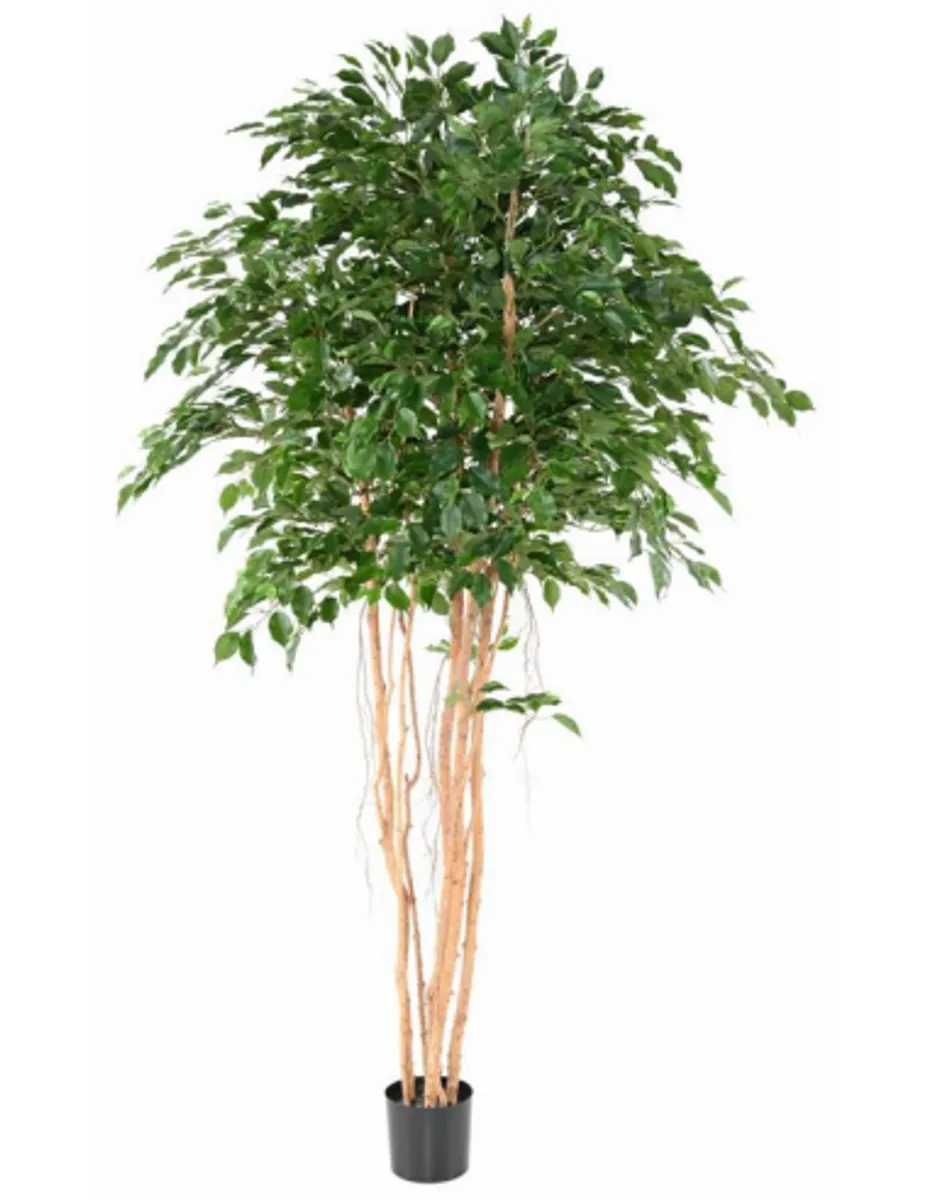 Stort kunstigt Ficus træ H260 cm - Grøn