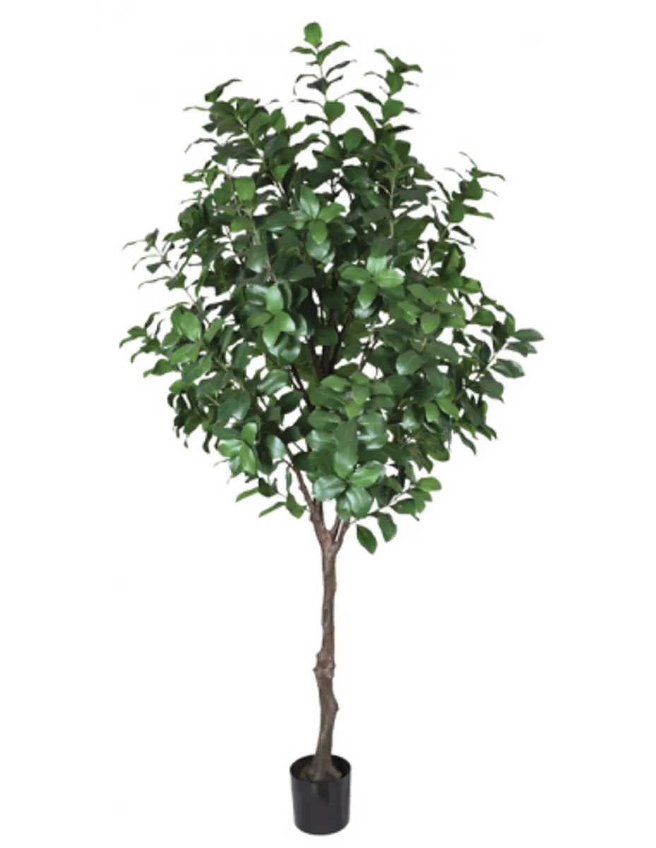 Stort kunstigt Laurel træ H220 cm