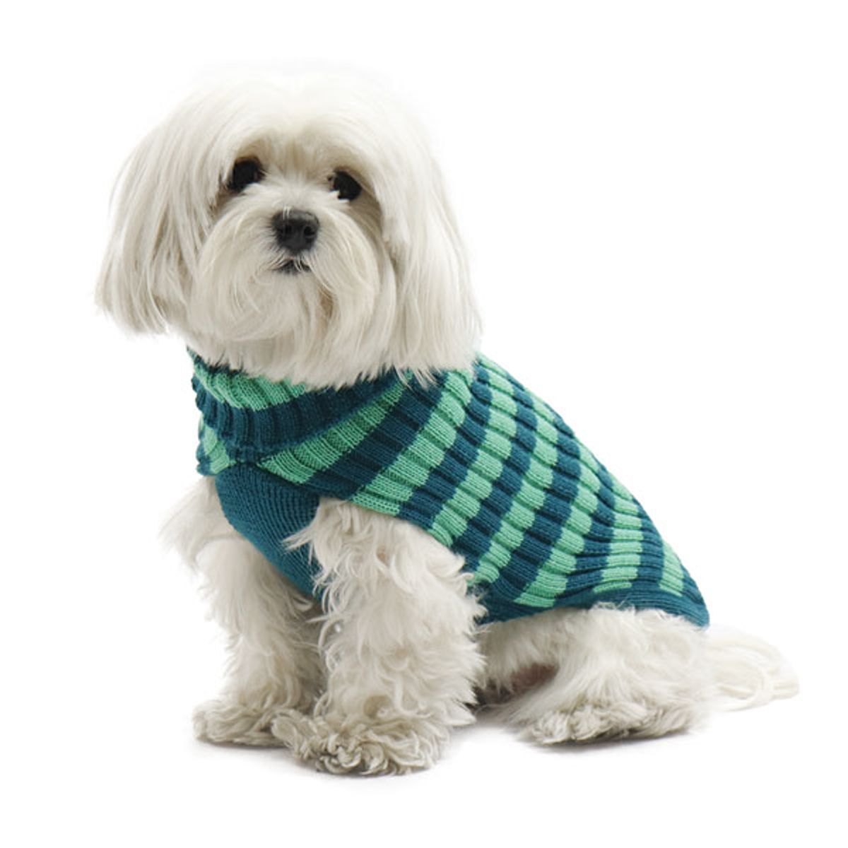 Stribet hundesweater i merino uld-24 cm