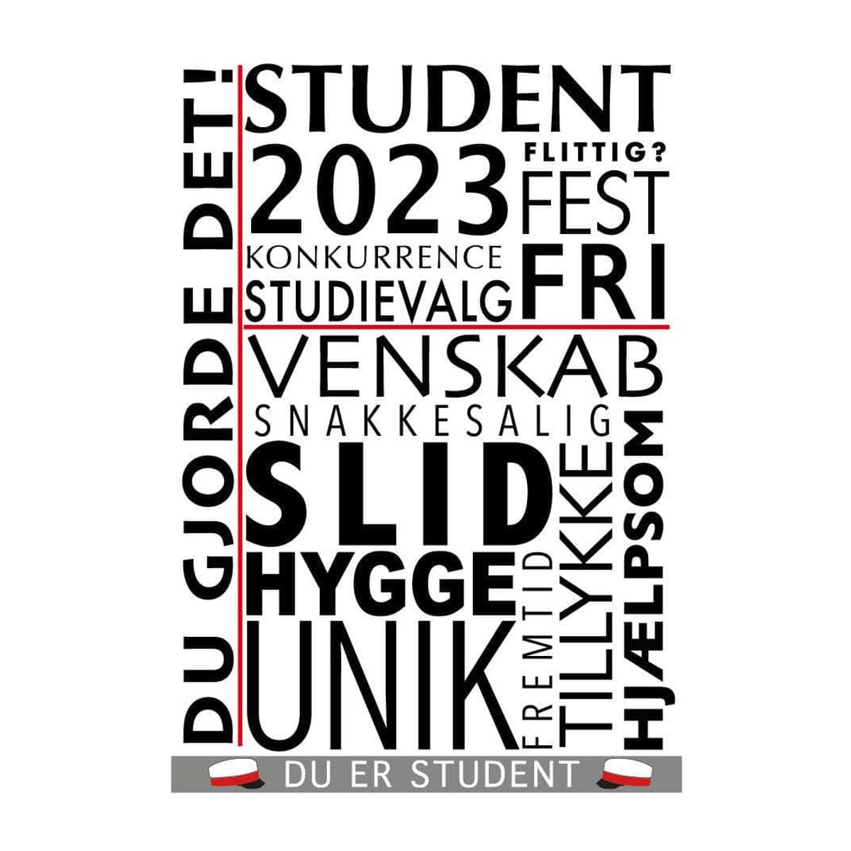 Student citat plakat