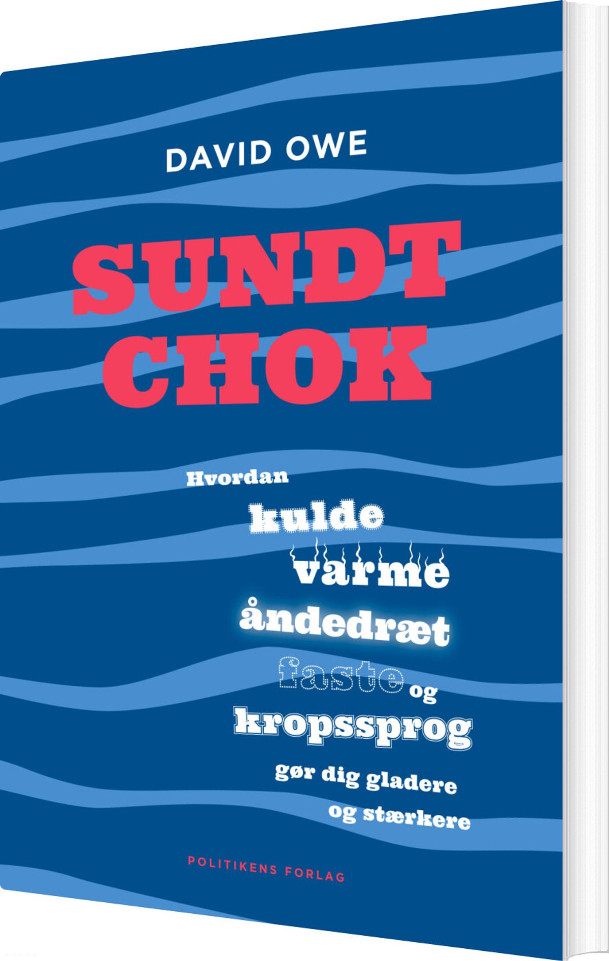 Sundt Chok - David Owe - Bog