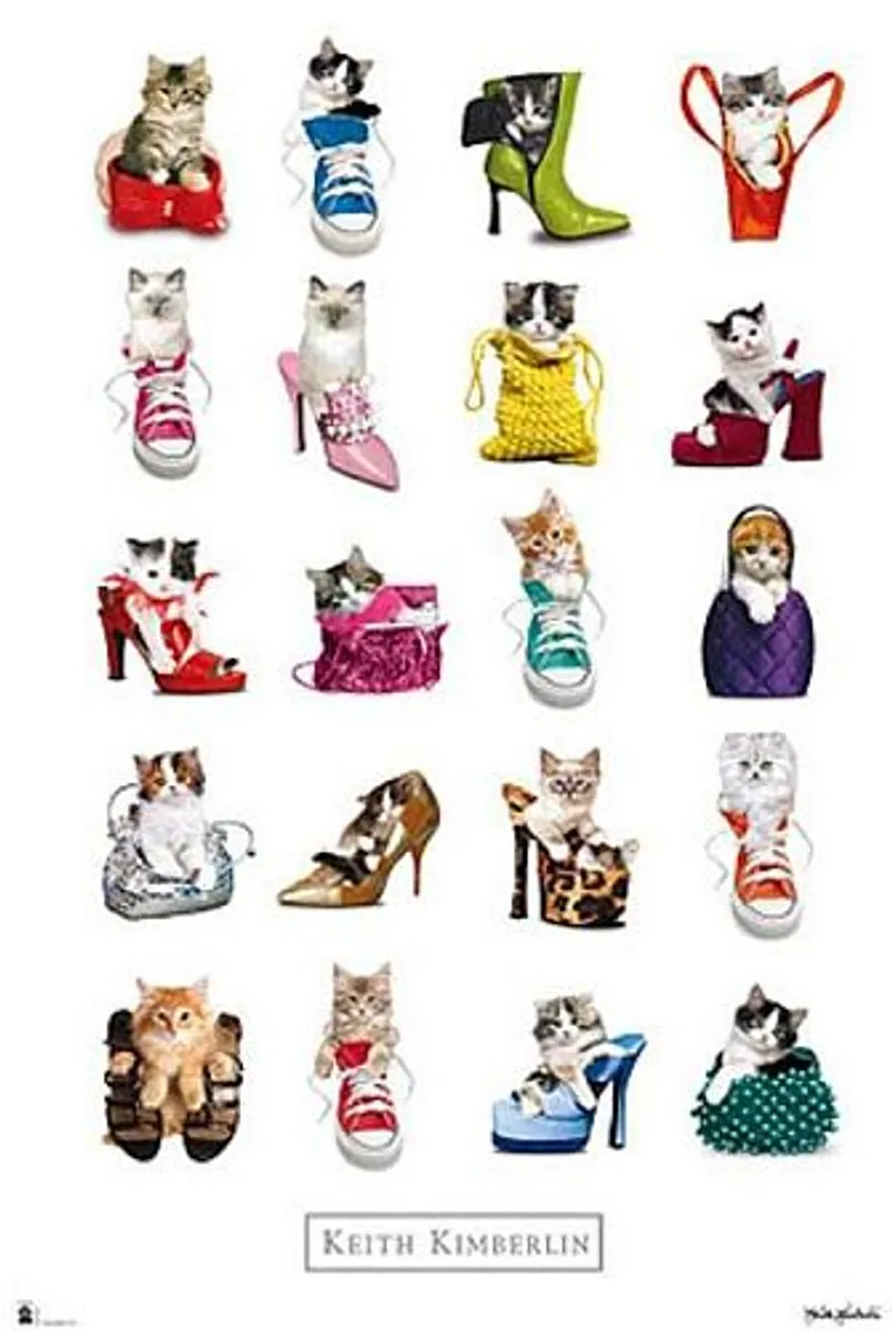 ! Super tilbud Poster/Plakat - #35 Keith Kimberlin Gatos/ Cats - 61x91,5 cm