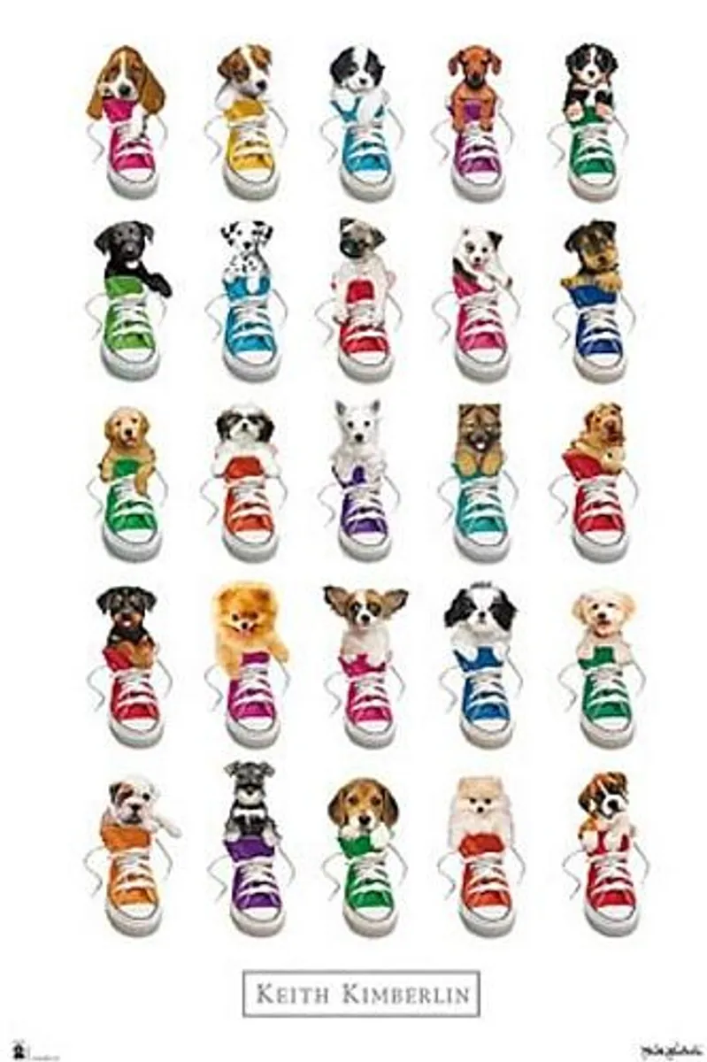 ! Super tilbud Poster/Plakat - Keith Kimberlin Perros/ Dogs - 61x91,5 cm