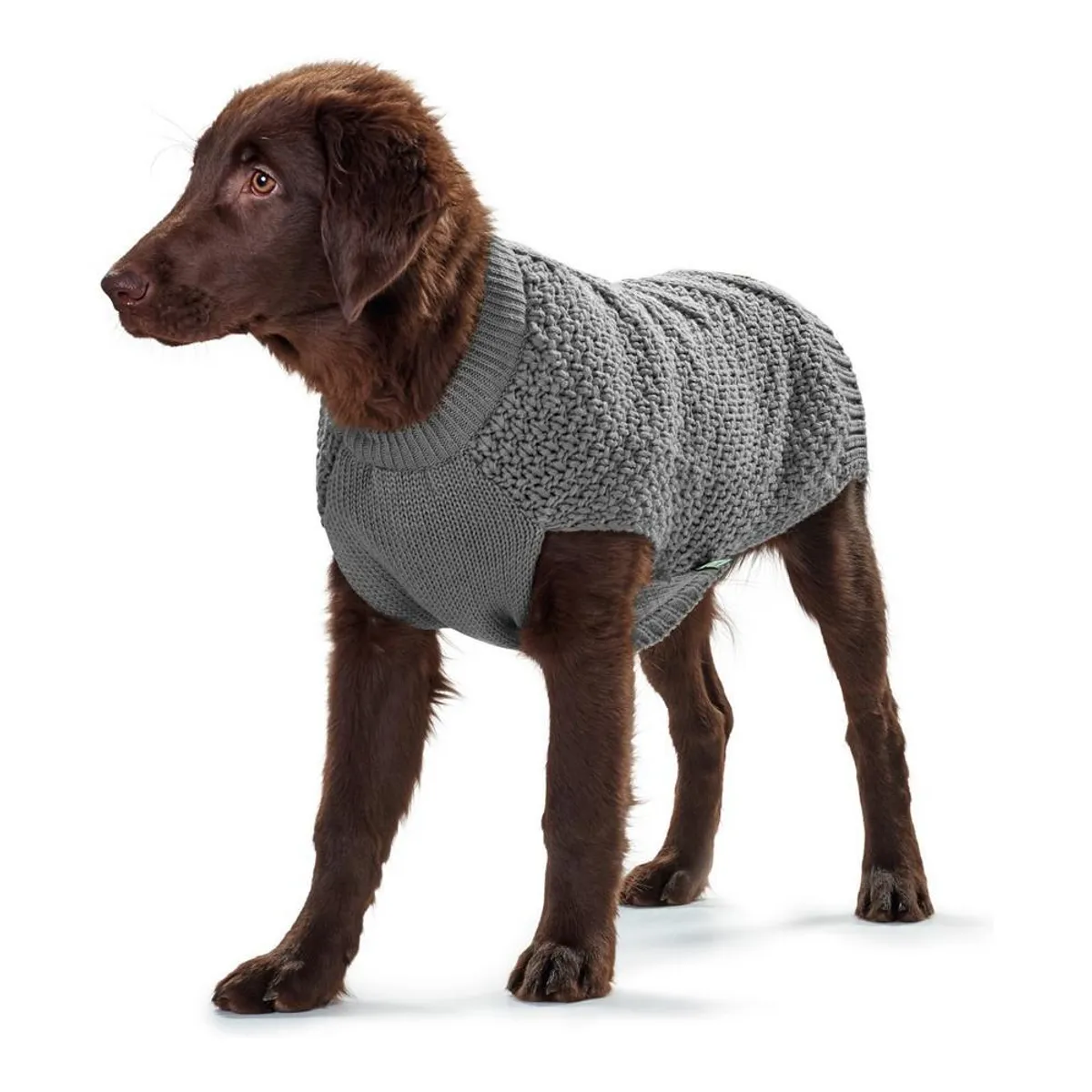 Sweater til hund Hunter Malmö