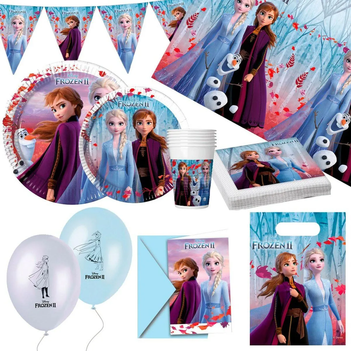 Sæt med Produkter til Fest Frozen 66 Dele