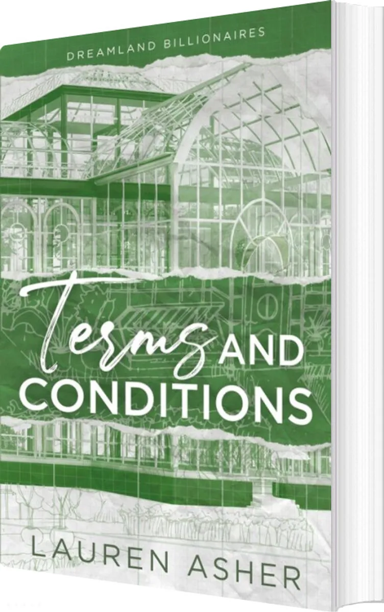 Terms And Conditions - Lauren Asher - English Book