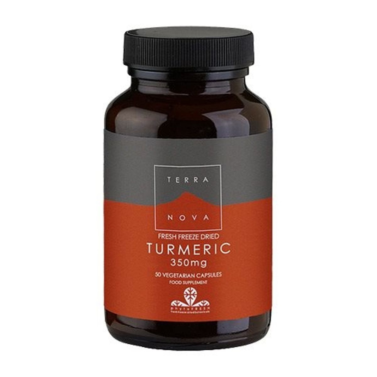 Terranova Turmeric 350 mg, 50 kap / 20 g