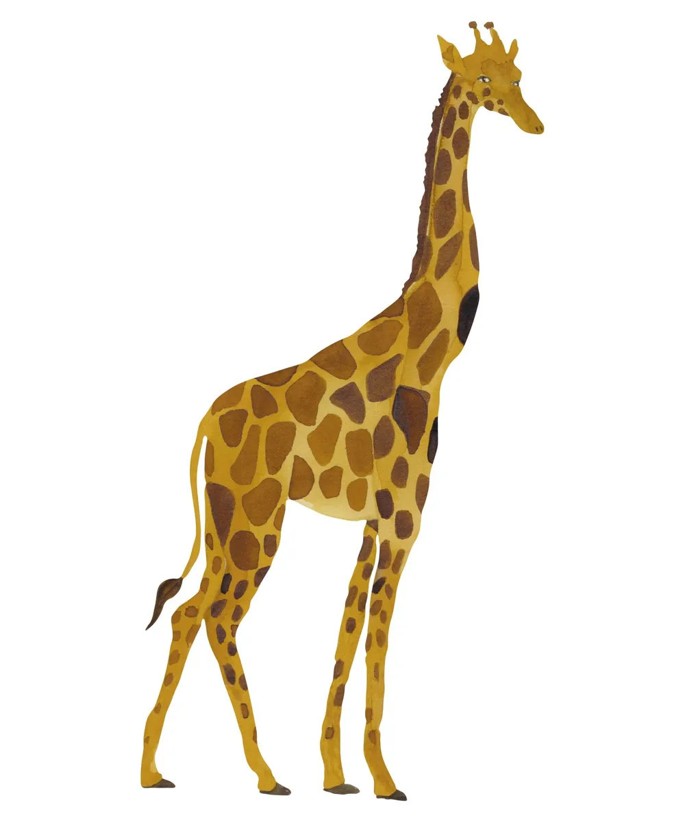 That's Mine - Wallsticker Giraffe - Multi